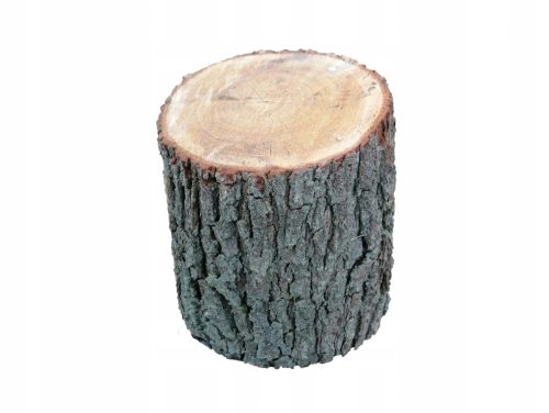  Stumpfdübelsitzstuhl Eichenholz 35 cm
