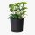  Prosperplast Blumentopf 40 cm x 40 x 37 cm Durchmesser 40 cm Kunststoff schwarz, Graphit