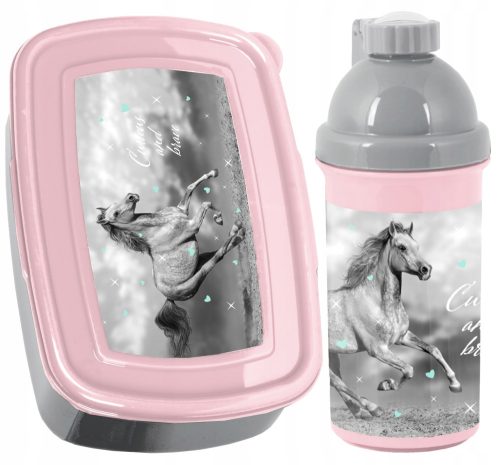  Paso Wasserflasche 550 ml + Paso Lunchbox 750 ml