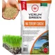  Gras für trockene Bereiche Verum Green 1000 m² 25 kg