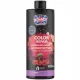  Color Repair Professional Shampoo UV Ronney 1000 ml Farbschutz