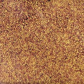  RajOgrodnika-Gras 800 m² 1 kg