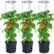  Prosperplast Blumentopf 115,2 cm x 29,5 x 115,2 cm Durchmesser 29,5 cm Kunststoff schwarz