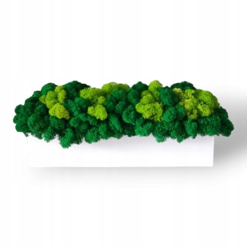 Dekoratives Moos WEISSER Blumentopf 30 cm mit GEMISCHTEM Moos