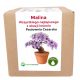  Set für den Anbau von Paulownia-Namenstag-Himbeeren Malina