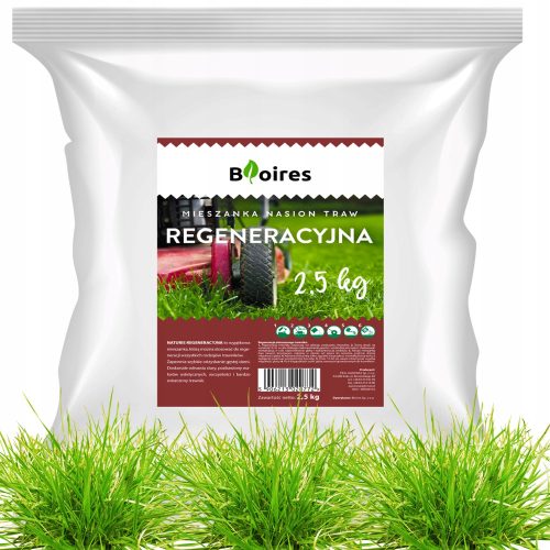  Grasmischung, Renovierung Naturis 100 m² 2,5 kg