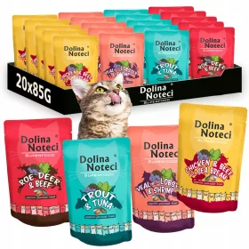  DOLINA NOTECI SUPERFOOD-AROMENMISCHUNG FÜR KATZEN 20x85G