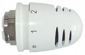  Herzkopf 1920068