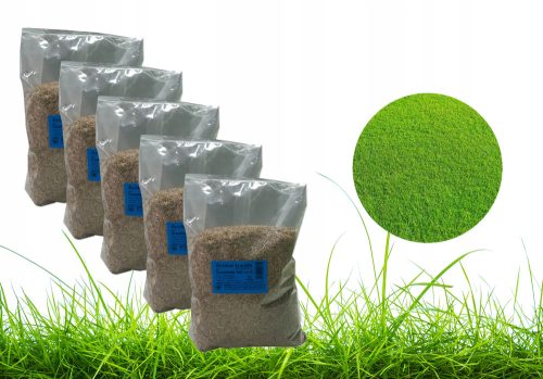  Grasmischung, Garten, Renovierung, Sportrasen 175 m² 5 kg