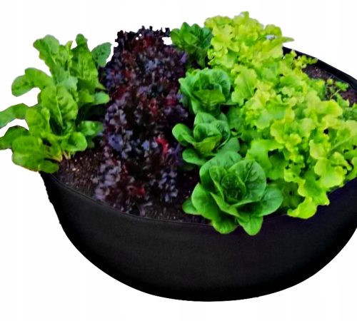  Navikula runder Blumentopf 100 cm, schwarz
