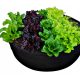  Navikula runder Blumentopf 100 cm, schwarz