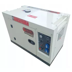 Tragbarer einphasiger Pezal 6000 W Dieselgenerator