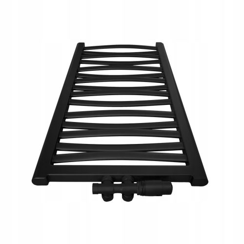 Regnis Badheizkörper 627 W 540 x 1205 mm schwarz