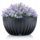  Blumentopf 15,6 x 29,8 cm, schwarzer Kunststoff