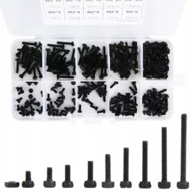 300 Stück schwarze kleine Schraube M2 x 3-20 mm