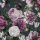 TAPETE PFINGSTROSEN BLUMEN B15716 UGEPA