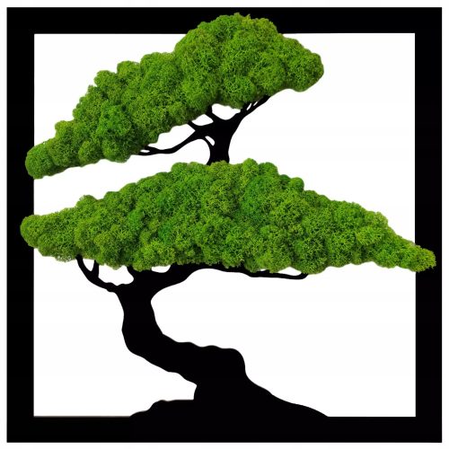 Dekoratives Moos Moosmoos in einem Sarts-Rahmen Bonsai-Baum 50x50 cm