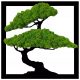 Dekoratives Moos Moosmoos in einem Sarts-Rahmen Bonsai-Baum 50x50 cm