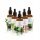 Saunen und Zubehör ÄTHERISCHE ÖLE FÜR SAUNA SET 5x50ML NR.11