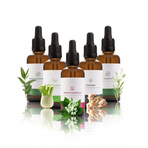 Saunen und Zubehör ÄTHERISCHE ÖLE FÜR SAUNA SET 5x50ML NR.11