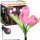  Interlook eingebettete Solarlampe 65 cm 1 Stk.