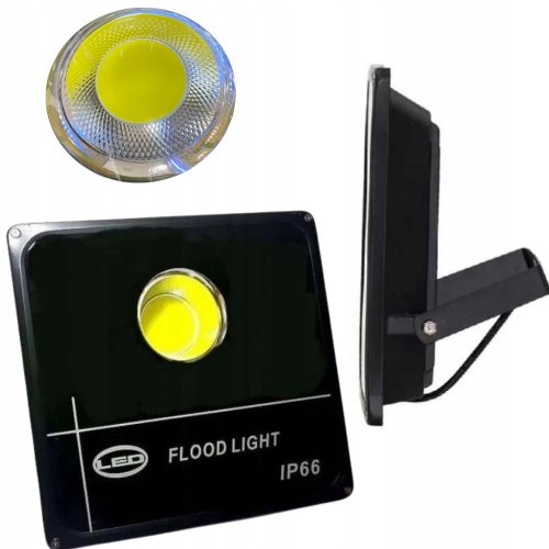 Halogene für den Außenbereich und den Garten Halogen kaltweiß 3000 lm 50 W