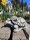  Gartenfigur Schildkröten Familie Gartendekoration