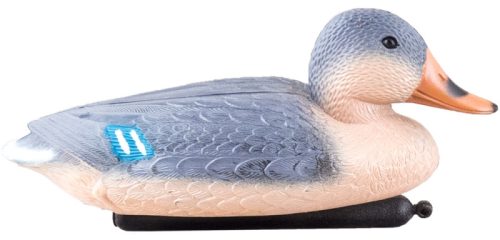  Stockentenweibchen Happet