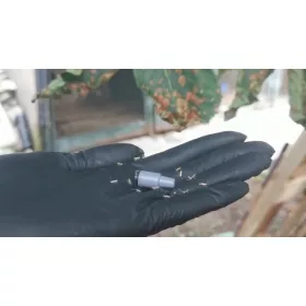  EKO HIT Falle gegen Rosskastanienblattmilben, 3 Stk