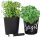 Töpfe und Pflanzgefäße für den Außenbereich und den Garten Trend Glass Blumentopf 12,5 cm x 12,5 x 13,5 cm Durchmesser 12,5 cm Glas schwarz