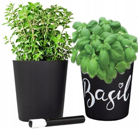 Töpfe und Pflanzgefäße für den Außenbereich und den Garten Trend Glass Blumentopf 12,5 cm x 12,5 x 13,5 cm Durchmesser 12,5 cm Glas schwarz