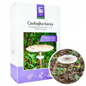  Czubajka KANIA körniges Myzel 1l