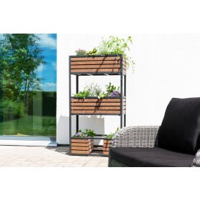  Mini-Gewächshaus 80 cm x 40 cm aus Metall