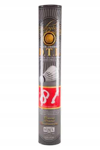 Querruder, Querruderset RSL DTL 81