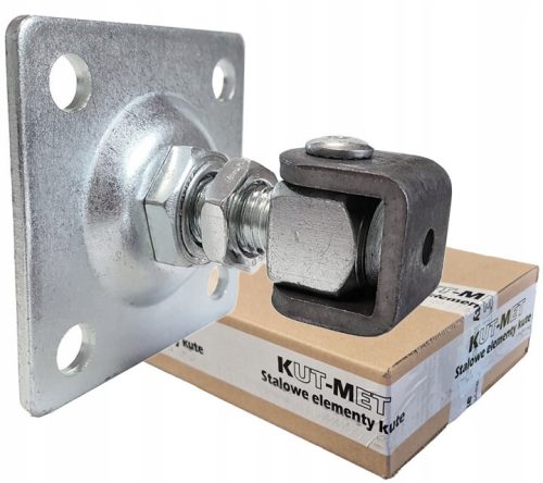 Verstellbares Scharnier mit Platte PSG 61.018 80 x 80 mm