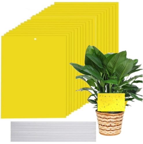  Sticky Wholesale Prima Sticky Topf gelb 10 Stk.
