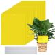  Sticky Wholesale Prima Sticky Topf gelb 10 Stk.
