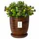  Botle-Blumentopf, 29 cm x 29 x 30 cm, Durchmesser 29 cm, Keramik in Braun- und Beigetönen