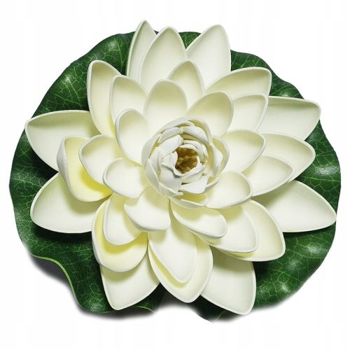  Deep Aqua Lily für einen Teich, Weiß, 28 cm