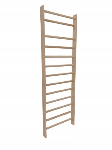  STANDARD-Turnleiter 250x90 cm