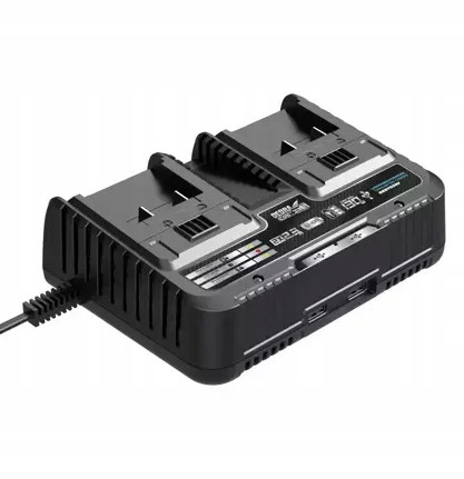  Dedra DED7038V 20V Dual-Ladegerät