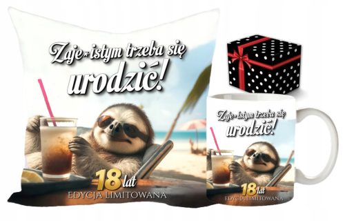  LUSTIGES GESCHENK ZUM 18. GEBURTSTAG FÜR EINEN FREUND, SET KISSENBECHER