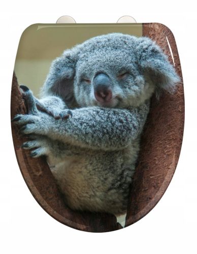 WENKO WC-SITZ 38x45CM KOALA 33905