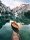 FOTOTAPETE 190x254 BOHO Vlies #F108 #SF