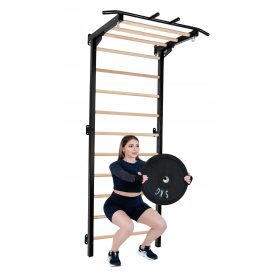  Übungsleiter + Pelltech-Klimmzugstange