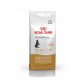 Royal Canin Pro Kitten Maine Coon 14 kg für Kätzchen