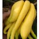  Citron Cedrat Buddhas Hand Citrus Medica + Gratisartikel + Erhitzer