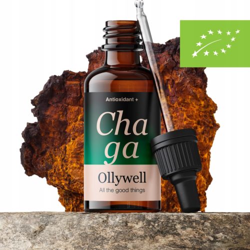 Hochwertiger Chaga-Extrakt: Stärken Sie Ihre Gesundheit natürlich | Ollywell