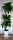 Künstliche Blumen und Früchte Künstlicher Blumenbaum Ficus Ficus 175 cm Blüte