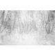 FOTOTAPETE 380x254 Vlies BERGE #F157 #SF